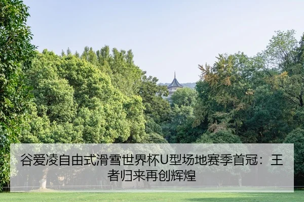 gu-ai-ling-zi-you-shi-hua-xue-shi-jie-bei-xing-chang-di-sai-ji-shou-guan-wang-zhe-gui-lai-zai-chuang-hui-huang-1-574.jpg
