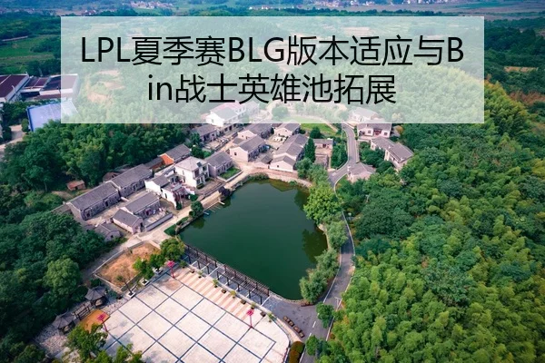 LPL夏季赛BLG版本适应与Bin战士英雄池拓展