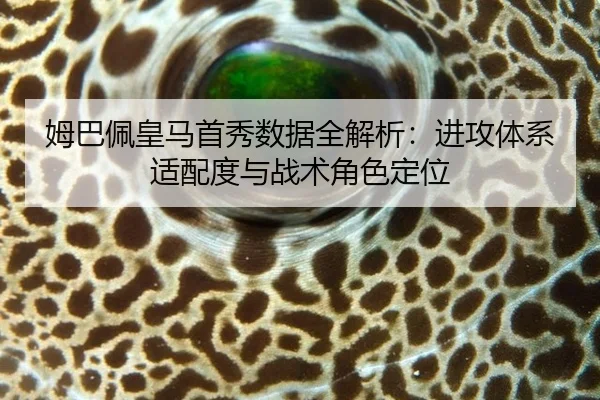 mu-ba-pei-huang-ma-shou-xiu-shu-ju-quan-jie-xi-jin-gong-ti-xi-shi-pei-du-yu-zhan-shu-jue-se-ding-wei-3-526.jpg