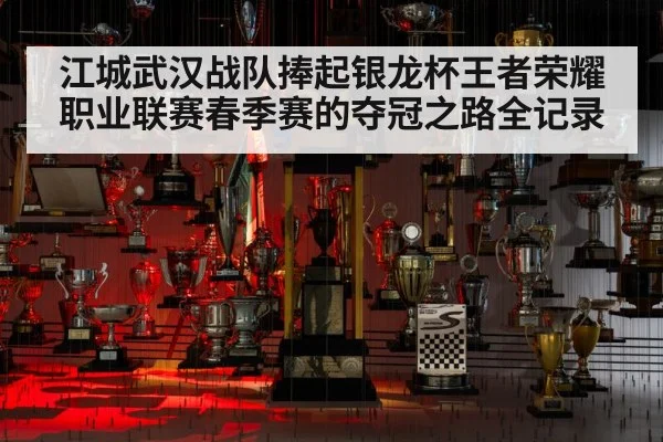 江城武汉战队捧起银龙杯王者荣耀职业联赛春季赛的夺冠之路全记录